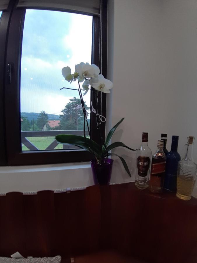 Maison Alana Divčibare エクステリア 写真
