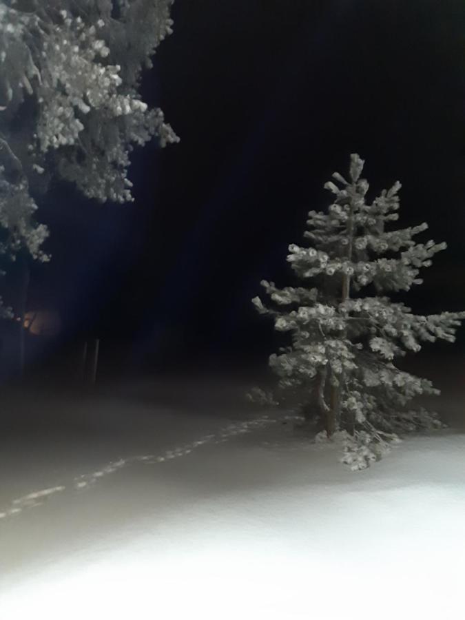 Maison Alana Divčibare エクステリア 写真
