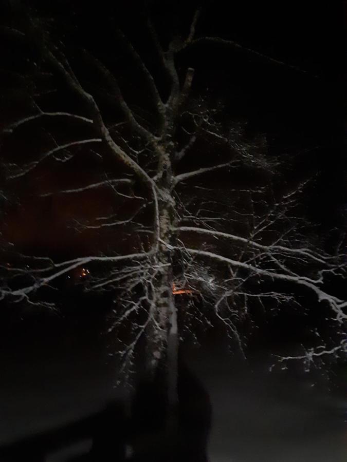 Maison Alana Divčibare エクステリア 写真